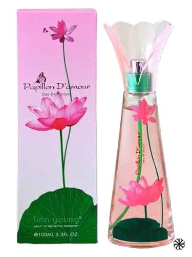 Papillon D’Amour Linn Young