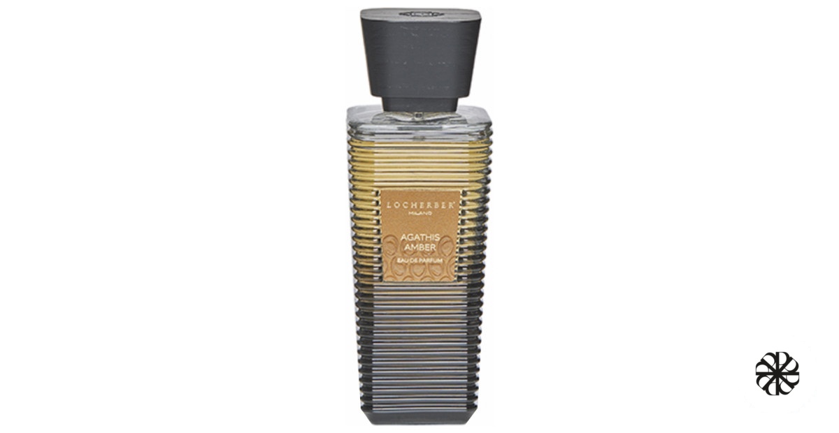 Agathis Amber Locherber Milano