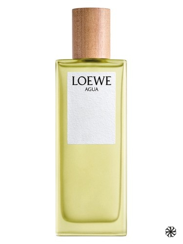 Agua de Loewe Loewe