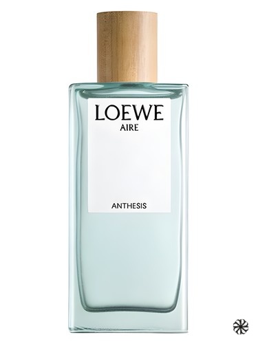 Aire Anthesis Loewe