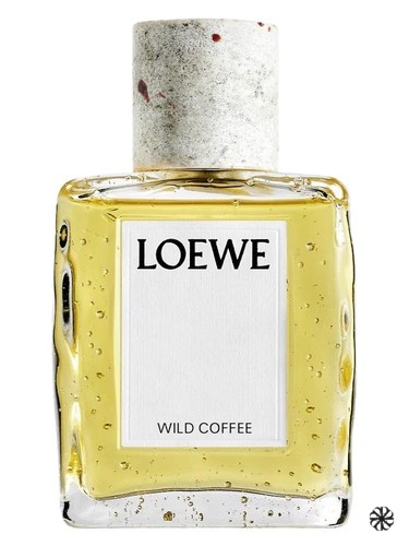 Wild Coffee Loewe