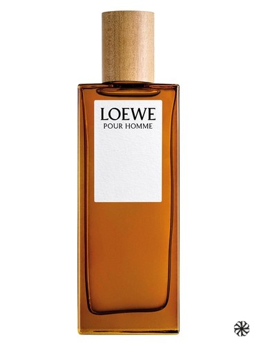 Loewe Pour Homme Loewe