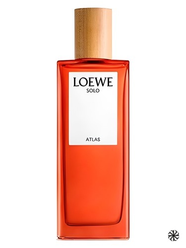 Solo Atlas Loewe
