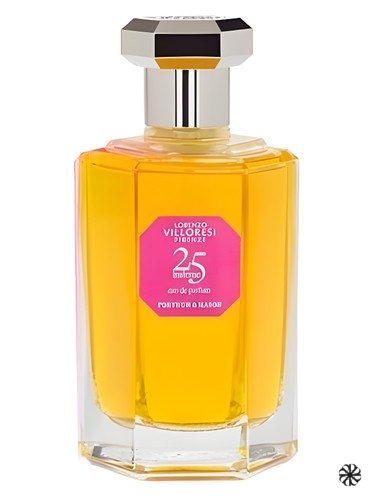 25 Insieme Lorenzo Villoresi