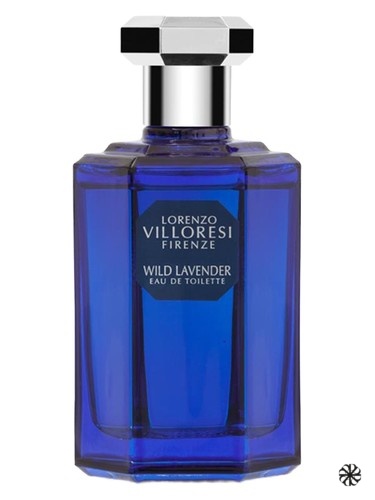 Wild Lavender Lorenzo Villoresi