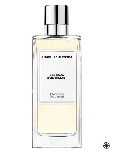 Blooming Grapefruit Angel Schlesser