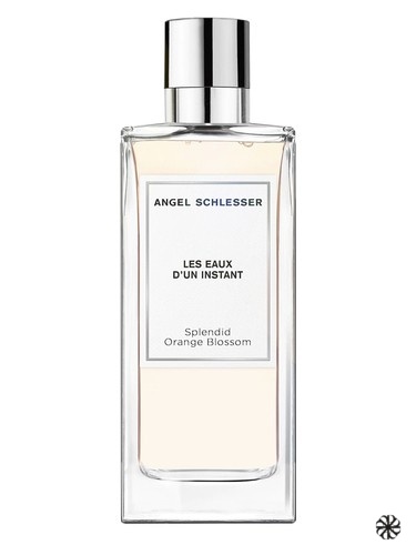 Splendid Orange Blossom Angel Schlesser