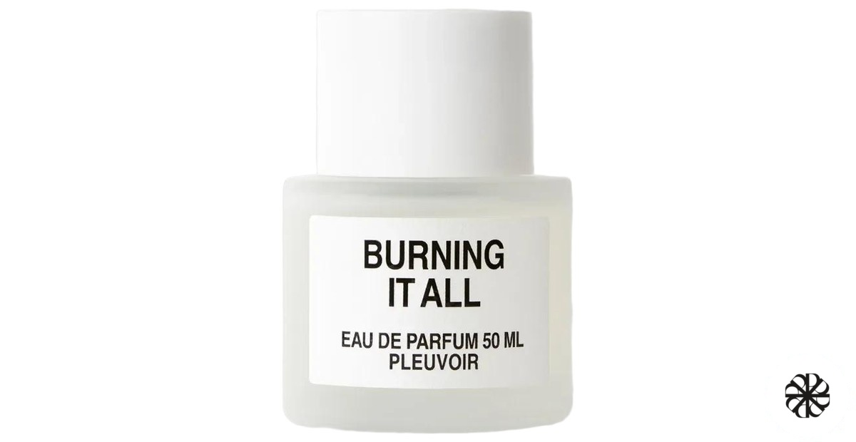 Burning It All Pleuvoir