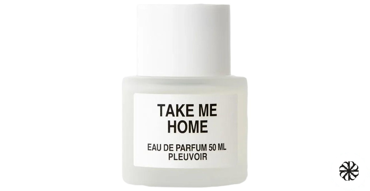 Take Me Home Pleuvoir