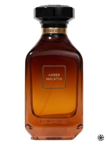Amber Malatya Loumari