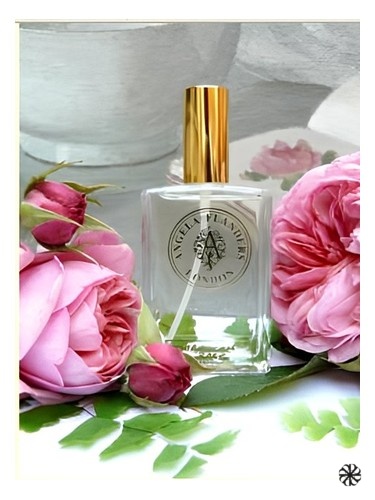 Moroccan Rose Angela Flanders