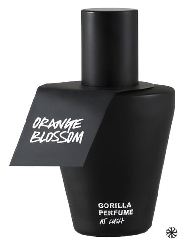 Orange Blossom Lush