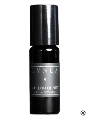 Papillon de Nuit Lvnea