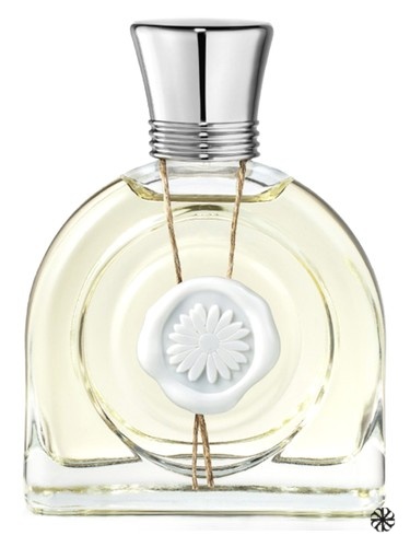 Fleur de Lune M. Micallef