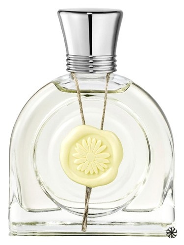 Fleur Lumière M. Micallef