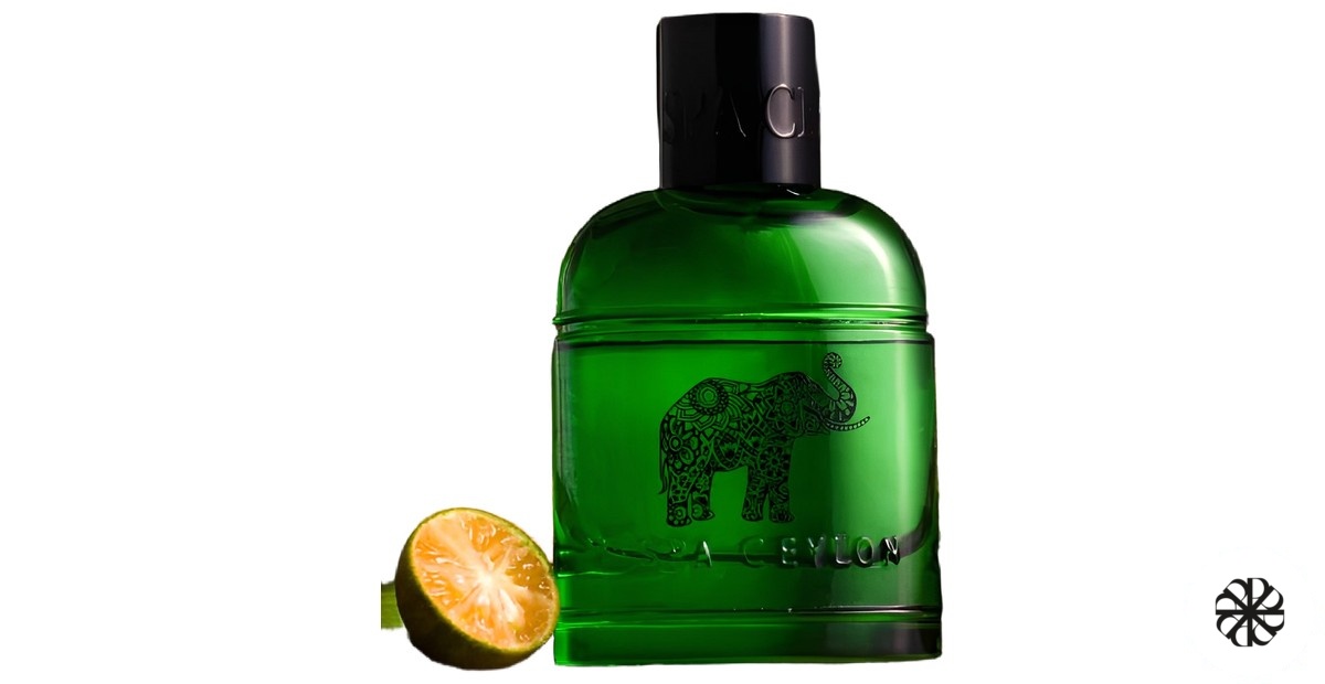 Forest Escape Ceylon Elephant Spa Ceylon