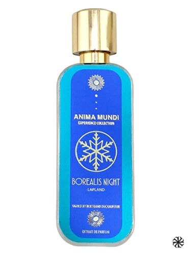 Borealis Night Anima Mundi