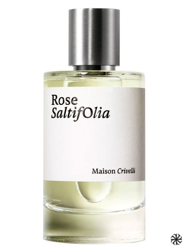 Rose SaltifOlia Maison Crivelli