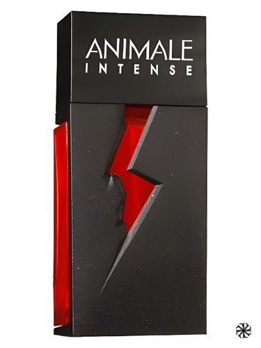 Animale Intense Animale