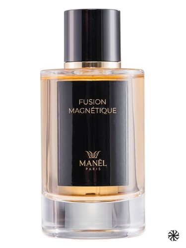 Fusion Magnétique Maison Manël