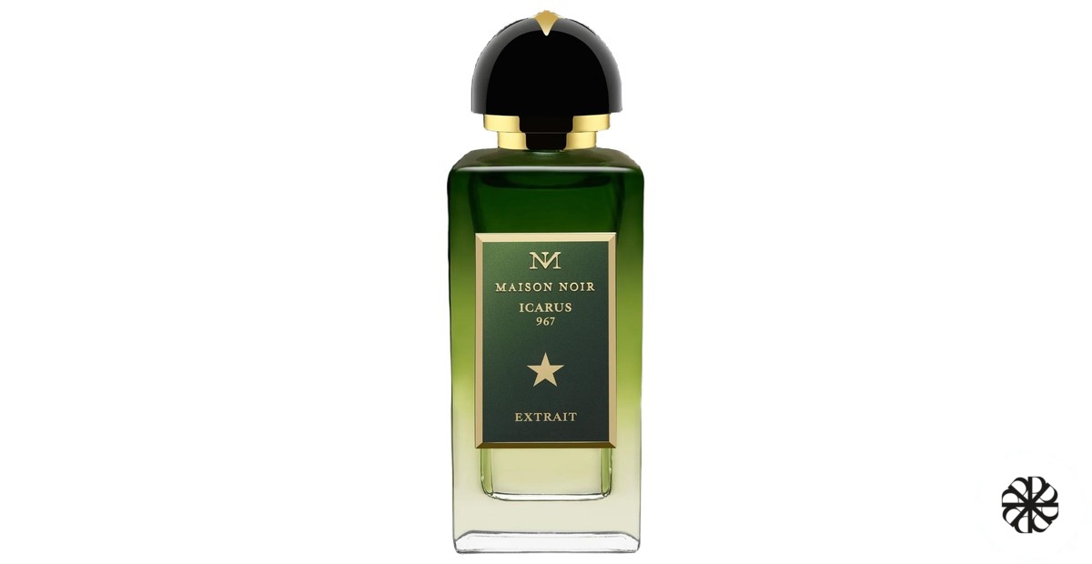 Icarus 967 Maison Noir