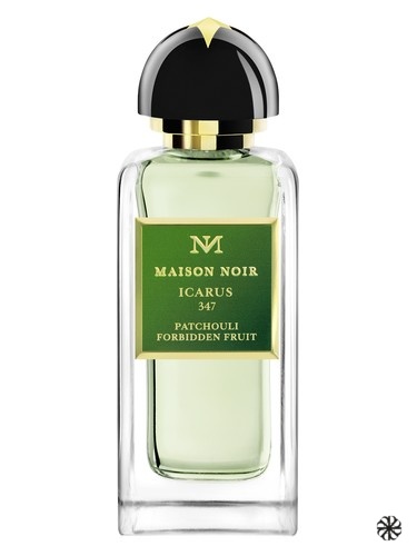 Icarus 347 Maison Noir