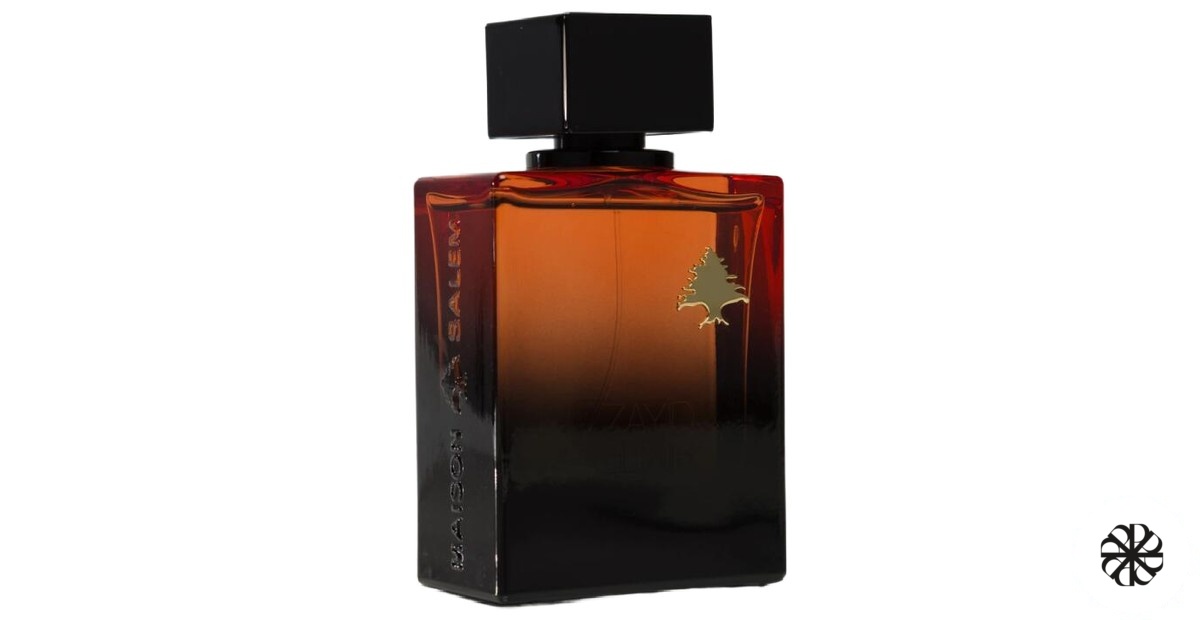 Zayid Elixir Maison Salem