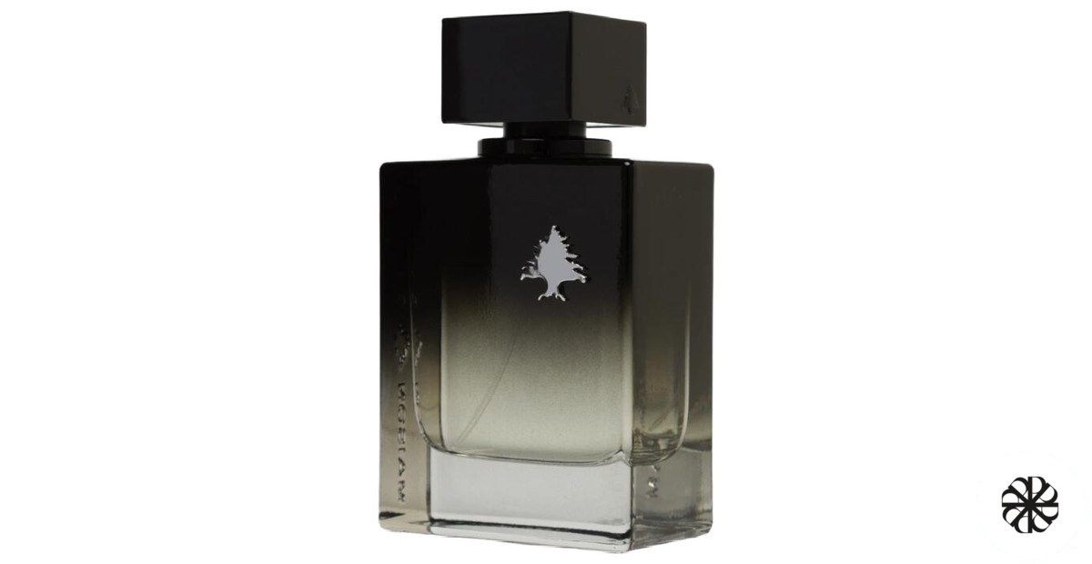 Kalif Elixir Maison Salem