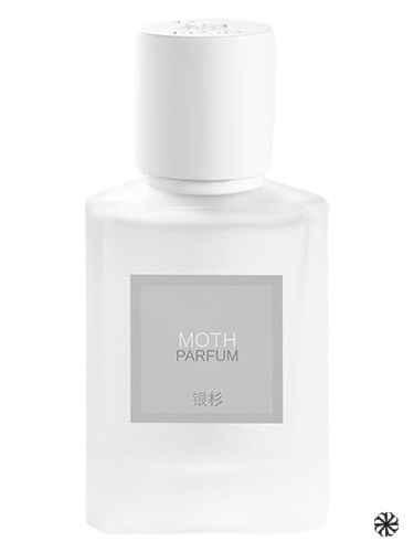 Moth 蛾 Maison Shan 银杉