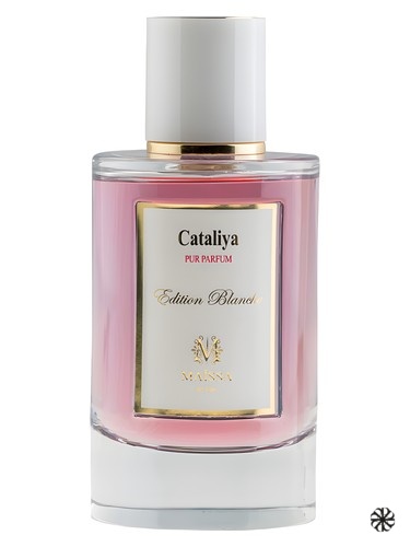 Cataliya Maïssa Parfums