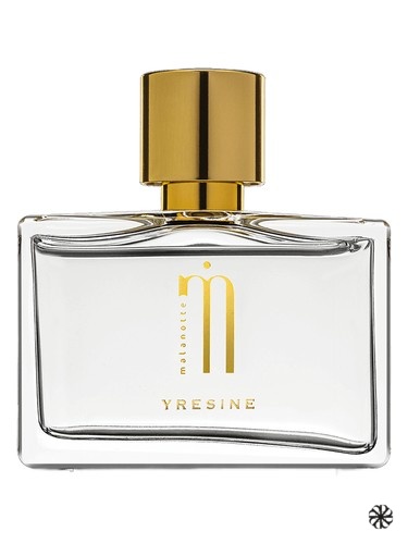 Yresine Malanotte