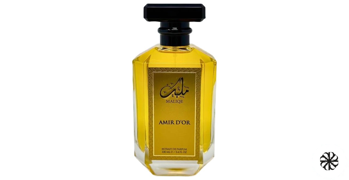 Amir D'or Maliqe
