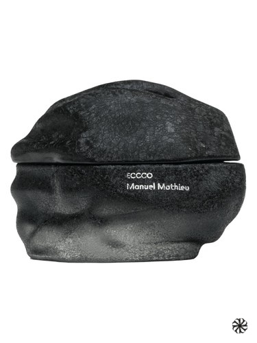 ECCCO Manuel Mathieu