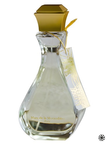 Kiyo Marc de la Morandiere