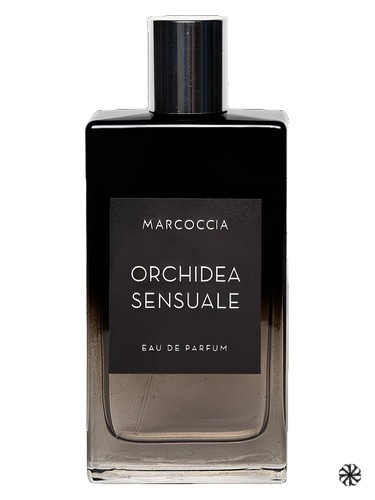 Orchidea Sensuale Marcoccia