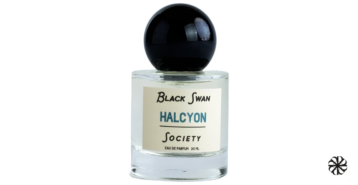Halcyon Black Swan Society