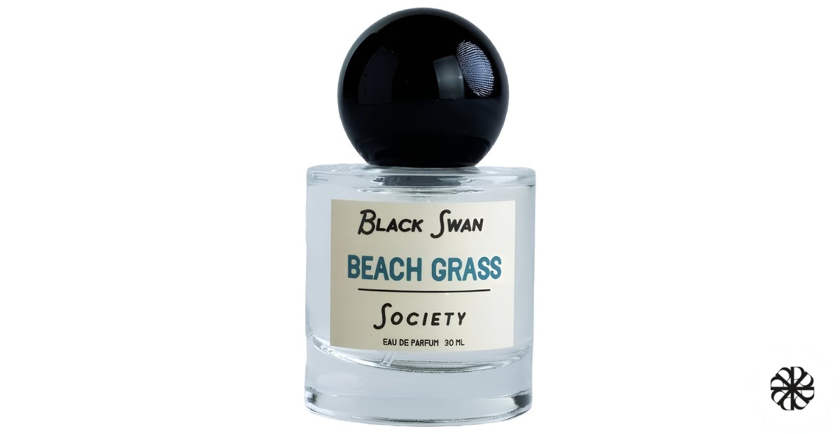 Beach Grass Black Swan Society