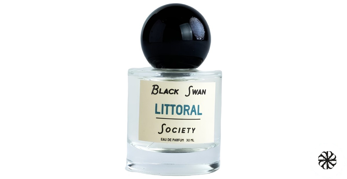 Littoral Black Swan Society