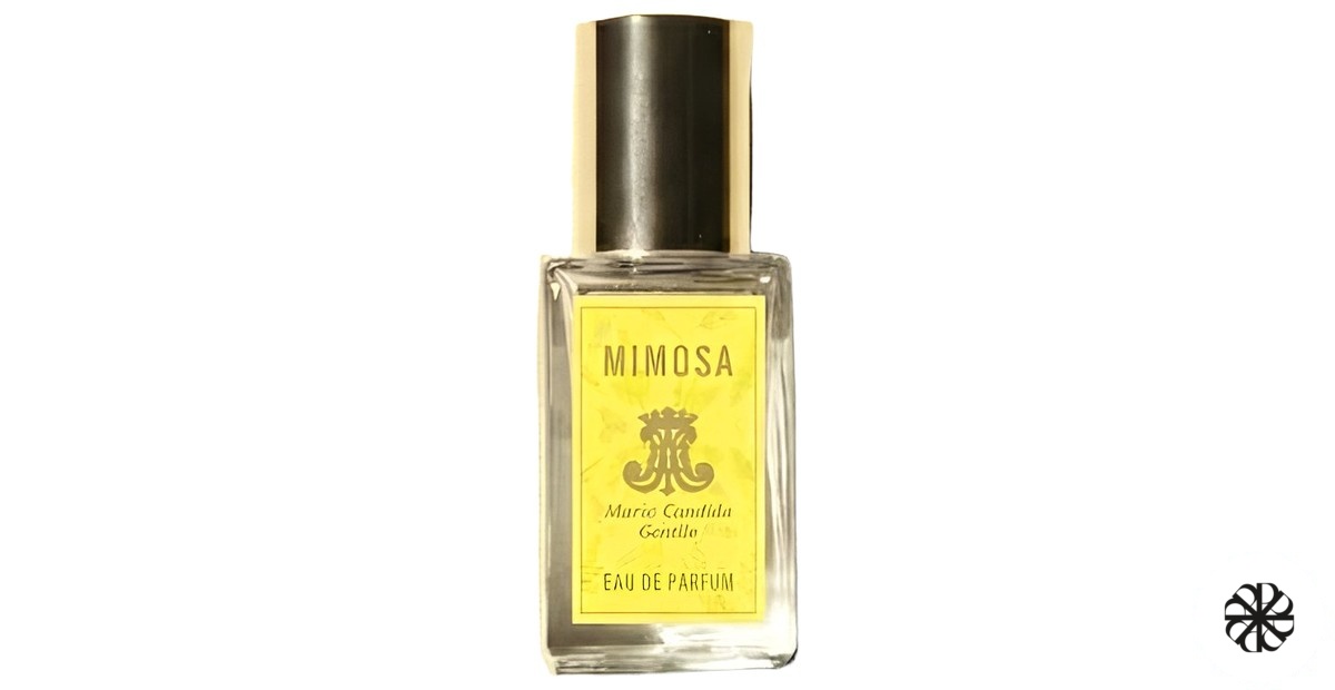 Mimosa Maria Candida Gentile