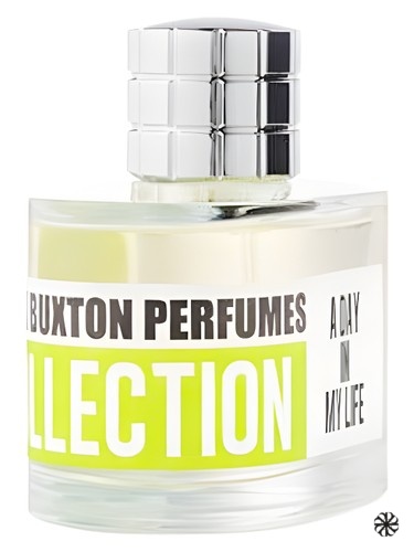 A Day in My Life Mark Buxton