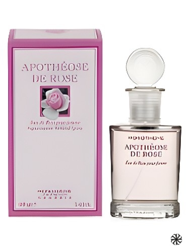 Monotheme Classic Apothéose de Rose Pour Femme Marks & Spencer