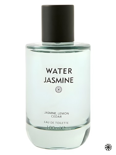 Water Jasmine Marks & Spencer