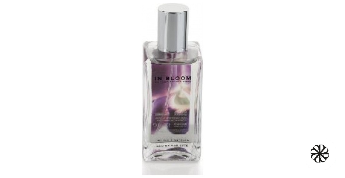 Orchid and Vanilla Marks & Spencer