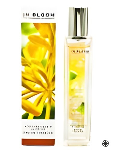 Jasmine and Honeysuckle Marks & Spencer