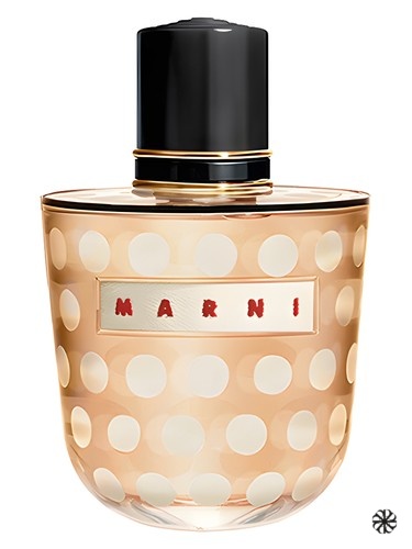 Marni Spice Marni