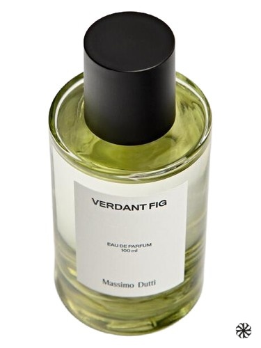Verdant Fig Massimo Dutti