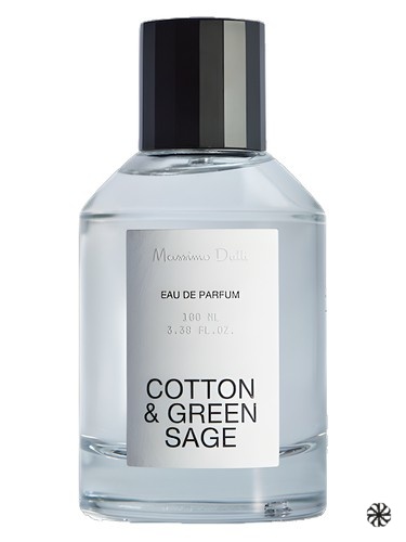 Cotton & Green Sage Massimo Dutti