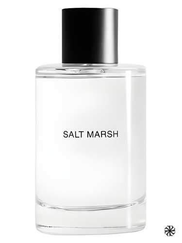 Salt March Massimo Dutti