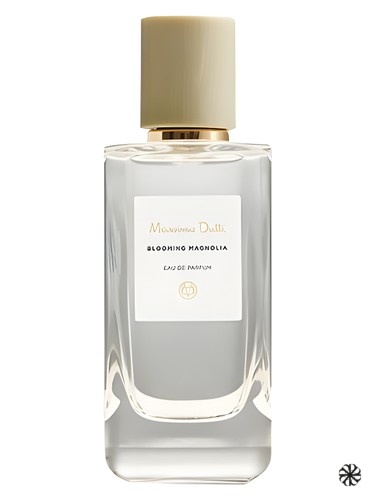 Blooming Magnolia Massimo Dutti