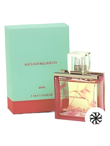 Matthew Williamson Sheer Matthew Williamson